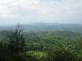 529 517 IMGP2128